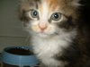 DSCF0063.JPG