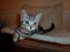 lola bed.jpg
