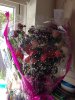 image-3975954130.jpg