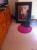 image-2403406907.jpg