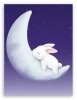 sleeping_bunny-t2.jpg