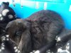 IMG00610-20110507-1047.jpg