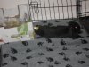 SDC11221.jpg