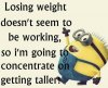 minion.jpg