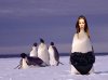 supermodel penguin.jpg