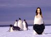 supermodel penguin 2.jpg