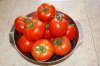 Tomatoes for soup - cost 40p kilo.jpg