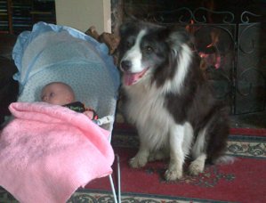North Kesteven-20121031-00626.jpg