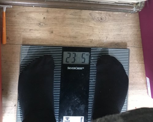 start weight.jpg