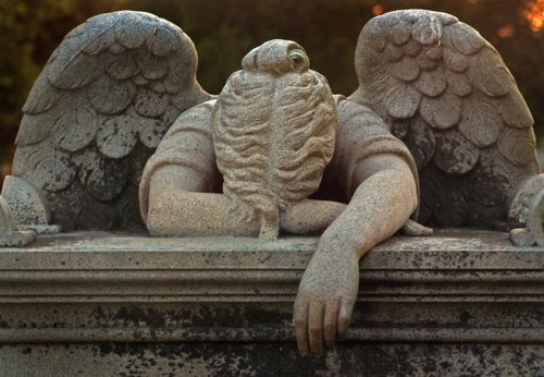 REPLY_WEEPING ANGEL.jpg