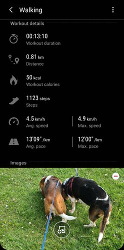 Screenshot_20200516-191137_Samsung Health.jpg