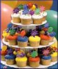 cupcakes.jpg