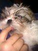 suki licking andys finger.jpg