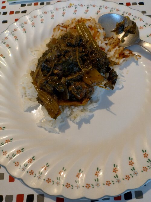 IMG_20250613_201218965_HDR.jpg
