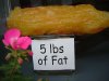 five-pounds-of-fat.jpg