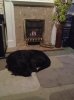 image-2279577690.jpg