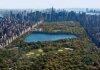 Central Park.jpg