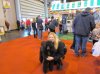 CRUFTS 11-03-2012 072.jpg CRUFTS 11-03-2012 072.jpg