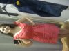 IMG-20120318-00156.jpg