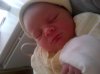 IMG-20120321-00675.jpg