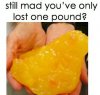 one pound of fat.jpg