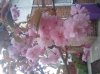 ForumRunner_20120419_113225.jpg