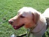 ForumRunner_20120419_113259.jpg