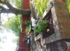 ForumRunner_20120522_152708.jpg