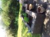 ForumRunner_20120522_152746.jpg