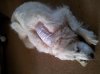 ForumRunner_20120529_173746.jpg