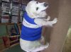ForumRunner_20120530_143555.jpg