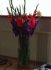 image-1445924152.jpg