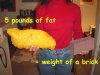 5lb-fat-brick.jpg