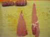 Prepared Bacon (Small).JPG Prepared Bacon (Small).JPG
