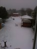 Feb 5th snowww (1).JPG