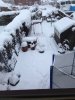 image-1729521849.jpg