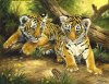 Tiger Cubs and Toad.jpg
