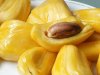 20080818jackfruit.jpg 20080818jackfruit.jpg
