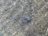 100_3178.jpg