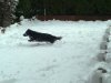 nov 2010 003.jpg