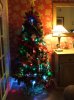 Christmas 2010 004.jpg