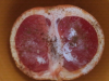 ForumRunner_20131202_113553.png