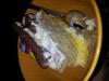 ForumRunner_20140107_192614.png
