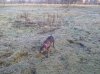 ForumRunner_20140121_111755.jpg