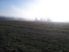ForumRunner_20140121_111805.png