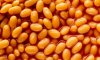 Baked-beans-007.jpg