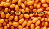 Baked-beans-007.jpg