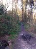 image-3542899260.jpg