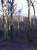 image-962585957.jpg