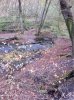 image-1950473068.jpg